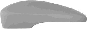 VAN WEZEL 5849844 -  Покрытие, внешнее зеркало